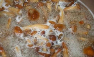 Сметанный соус с грибами и маринованными огурцами